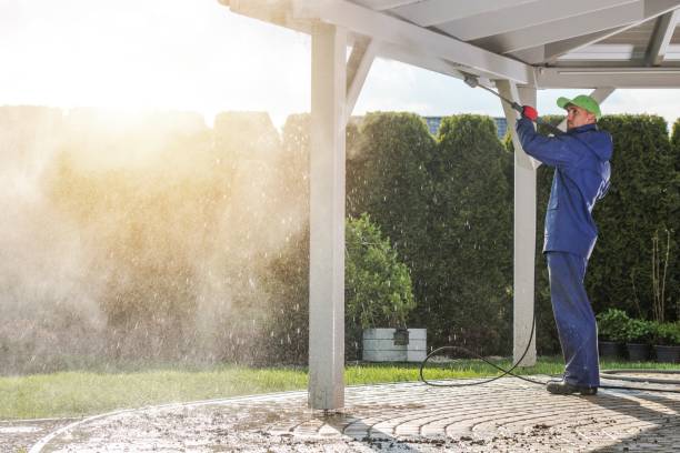Best Roof Washing  in North Arlington, NJ